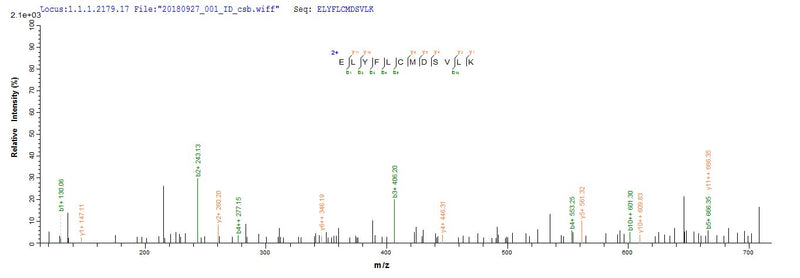 Based on the SEQUEST from database of E.coli host and target protein, the LC-MS/MS Analysis result of this product could indicate that this peptide derived from E.coli-expressed Mus musculus (Mouse) Adamts13.Recombinant Mouse A Disintegrin And Metalloproteinase With Thrombospondin Motifs 13 (ADAMTS13) Protein (His&Myc)