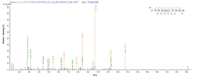 Based on the SEQUEST from database of E.coli host and target protein, the LC-MS/MS Analysis result of this product could indicate that this peptide derived from E.coli-expressed Plasmodium falciparum (isolate 3D7) PF14_0076.Recombinant Plasmodium Falciparum Plasmepsin I (PF14_0076) Protein (His-SUMO)