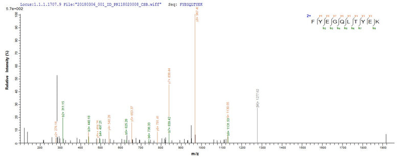Based on the SEQUEST from database of E.coli host and target protein, the LC-MS/MS Analysis result of this product could indicate that this peptide derived from E.coli-expressed Plasmodium falciparum (isolate 3D7) PF14_0076.Recombinant Plasmodium Falciparum Plasmepsin I (PF14_0076) Protein (His-SUMO)