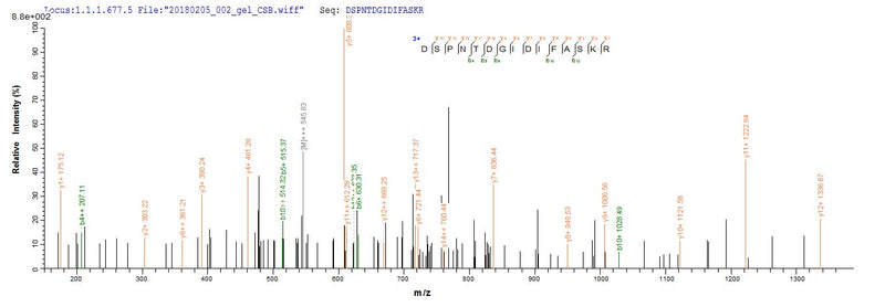 Based on the SEQUEST from database of E.coli host and target protein, the LC-MS/MS Analysis result of this product could indicate that this peptide derived from E.coli-expressed Chamaecyparis obtusa (Hinoki false-cypress) N/A.