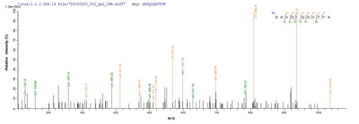 Based on the SEQUEST from database of E.coli host and target protein, the LC-MS/MS Analysis result of this product could indicate that this peptide derived from E.coli-expressed Chamaecyparis obtusa (Hinoki false-cypress) N/A.