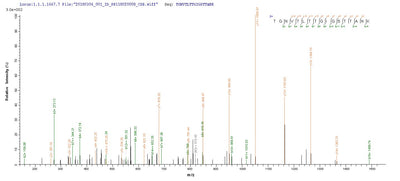 Based on the SEQUEST from database of E.coli host and target protein, the LC-MS/MS Analysis result of this product could indicate that this peptide derived from E.coli-expressed Staphylococcus aureus (strain MSSA476) clfA.Recombinant Staphylococcus Aureus Clumping Factor A (CLFA) Protein (His-SUMO)