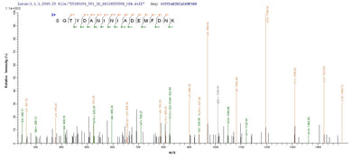 Based on the SEQUEST from database of E.coli host and target protein, the LC-MS/MS Analysis result of this product could indicate that this peptide derived from E.coli-expressed Staphylococcus aureus (strain MRSA252) clfB.Recombinant Staphylococcus Aureus Clumping Factor B (CLFB) Protein (His-SUMO)
