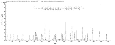 Based on the SEQUEST from database of E.coli host and target protein, the LC-MS/MS Analysis result of this product could indicate that this peptide derived from E.coli-expressed Homo sapiens (Human) ASTL.Recombinant Human Astacin-Like Metalloendopeptidase (ASTL) Protein (His&Myc)