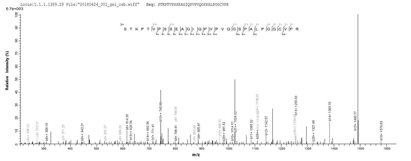 Based on the SEQUEST from database of E.coli host and target protein, the LC-MS/MS Analysis result of this product could indicate that this peptide derived from E.coli-expressed Homo sapiens (Human) ASTL.Recombinant Human Astacin-Like Metalloendopeptidase (ASTL) Protein (His&Myc)