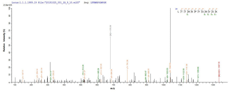 Based on the SEQUEST from database of E.coli host and target protein, the LC-MS/MS Analysis result of this product could indicate that this peptide derived from E.coli-expressed Human metapneumovirus (strain CAN97-83) (HMPV) M.Recombinant Human Metapneumovirus Matrix Protein (M) Protein (His&Myc)