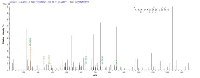Based on the SEQUEST from database of E.coli host and target protein, the LC-MS/MS Analysis result of this product could indicate that this peptide derived from E.coli-expressed Human metapneumovirus (strain CAN97-83) (HMPV) M.Recombinant Human Metapneumovirus Matrix Protein (M) Protein (His&Myc)