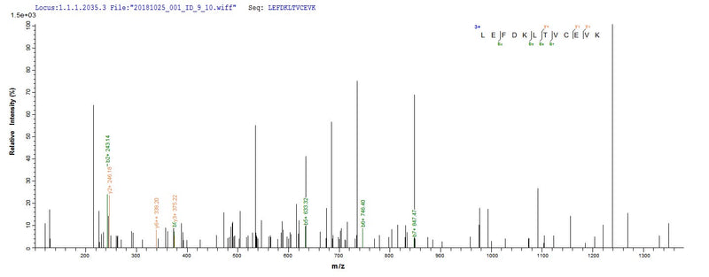 Based on the SEQUEST from database of E.coli host and target protein, the LC-MS/MS Analysis result of this product could indicate that this peptide derived from E.coli-expressed Human metapneumovirus (strain CAN97-83) (HMPV) M.Recombinant Human Metapneumovirus Matrix Protein (M) Protein (His&Myc)