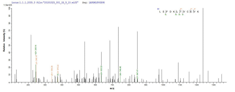 Based on the SEQUEST from database of E.coli host and target protein, the LC-MS/MS Analysis result of this product could indicate that this peptide derived from E.coli-expressed Human metapneumovirus (strain CAN97-83) (HMPV) M.