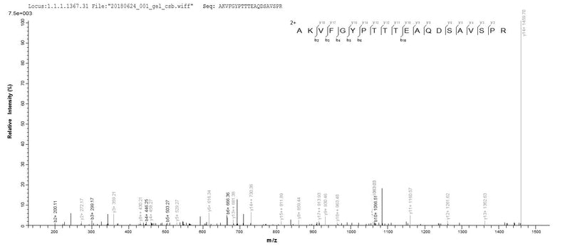 Based on the SEQUEST from database of E.coli host and target protein, the LC-MS/MS Analysis result of this product could indicate that this peptide derived from E.coli-expressed Mycobacterium paratuberculosis (strain ATCC BAA-968 / K-10) disA.Recombinant Mycobacterium Paratuberculosis Dna Integrity Scanning Protein Disa (DISA) Protein (His&Myc)