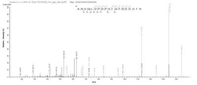 Based on the SEQUEST from database of E.coli host and target protein, the LC-MS/MS Analysis result of this product could indicate that this peptide derived from E.coli-expressed Mycobacterium paratuberculosis (strain ATCC BAA-968 / K-10) disA.Recombinant Mycobacterium Paratuberculosis Dna Integrity Scanning Protein Disa (DISA) Protein (His&Myc)
