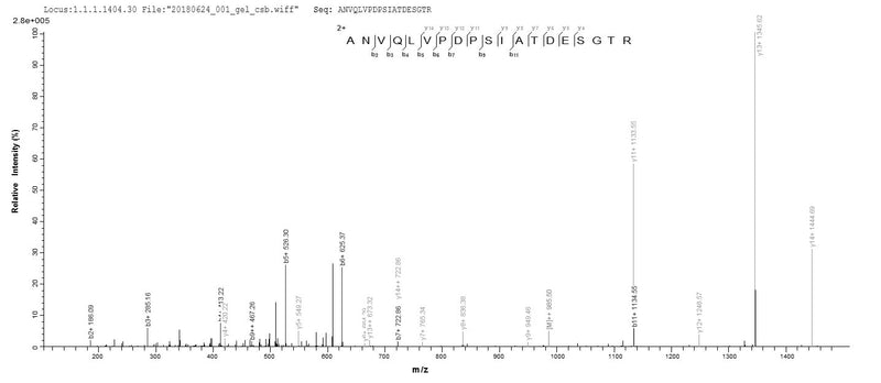 Based on the SEQUEST from database of E.coli host and target protein, the LC-MS/MS Analysis result of this product could indicate that this peptide derived from E.coli-expressed Mycobacterium paratuberculosis (strain ATCC BAA-968 / K-10) disA.Recombinant Mycobacterium Paratuberculosis Dna Integrity Scanning Protein Disa (DISA) Protein (His&Myc)