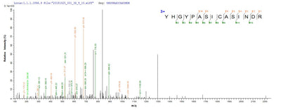 Based on the SEQUEST from database of E.coli host and target protein, the LC-MS/MS Analysis result of this product could indicate that this peptide derived from E.coli-expressed Mycobacterium tuberculosis (strain CDC 1551 / Oshkosh) map-1.Recombinant Mycobacterium Tuberculosis Methionine Aminopeptidase 1 (MAP-1) Protein (His)
