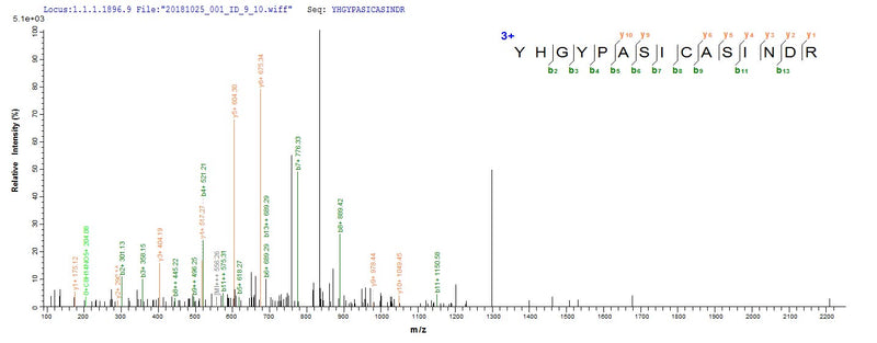 Based on the SEQUEST from database of E.coli host and target protein, the LC-MS/MS Analysis result of this product could indicate that this peptide derived from E.coli-expressed Mycobacterium tuberculosis (strain CDC 1551 / Oshkosh) map-1.Recombinant Mycobacterium Tuberculosis Methionine Aminopeptidase 1 (MAP-1) Protein (His)