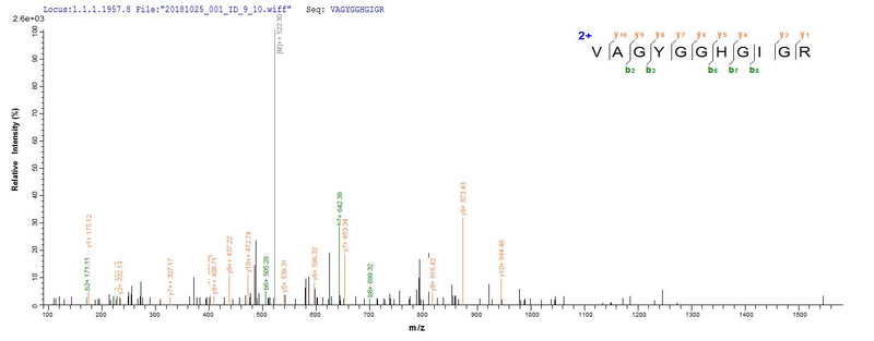 Based on the SEQUEST from database of E.coli host and target protein, the LC-MS/MS Analysis result of this product could indicate that this peptide derived from E.coli-expressed Mycobacterium tuberculosis (strain CDC 1551 / Oshkosh) map-1.Recombinant Mycobacterium Tuberculosis Methionine Aminopeptidase 1 (MAP-1) Protein (His)