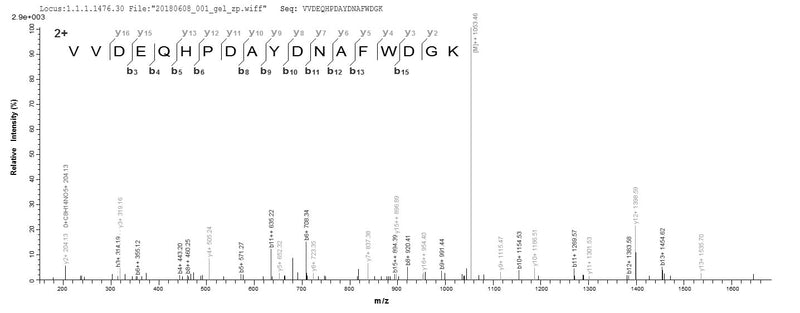 Based on the SEQUEST from database of E.coli host and target protein, the LC-MS/MS Analysis result of this product could indicate that this peptide derived from E.coli-expressed Enterococcus faecalis (strain ATCC 700802 / V583) gelE.Recombinant Enterococcus Faecalis Gelatinase (GELE) Protein (His-SUMO)