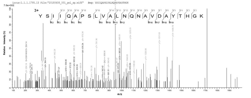 Based on the SEQUEST from database of E.coli host and target protein, the LC-MS/MS Analysis result of this product could indicate that this peptide derived from E.coli-expressed Enterococcus faecalis (strain ATCC 700802 / V583) gelE.Recombinant Enterococcus Faecalis Gelatinase (GELE) Protein (His-SUMO)