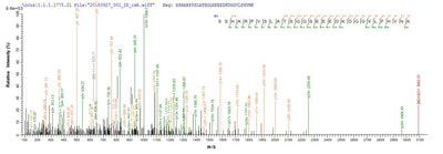Based on the SEQUEST from database of E.coli host and target protein, the LC-MS/MS Analysis result of this product could indicate that this peptide derived from E.coli-expressed Homo sapiens (Human) VASH2.Recombinant Human Vasohibin-2 (VASH2) Protein (His-SUMO)