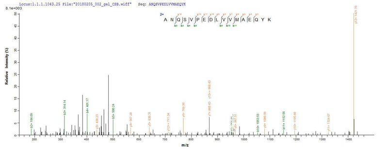 Based on the SEQUEST from database of E.coli host and target protein, the LC-MS/MS Analysis result of this product could indicate that this peptide derived from E.coli-expressed Homo sapiens (Human) DDX53.Recombinant Human Probable Atp-Dependent Rna Helicase Ddx53 (DDX53) Protein (His&Myc)