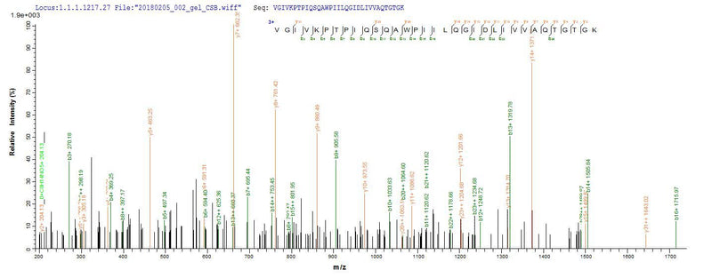 Based on the SEQUEST from database of E.coli host and target protein, the LC-MS/MS Analysis result of this product could indicate that this peptide derived from E.coli-expressed Homo sapiens (Human) DDX53.Recombinant Human Probable Atp-Dependent Rna Helicase Ddx53 (DDX53) Protein (His&Myc)
