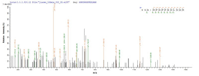 Based on the SEQUEST from database of E.coli host and target protein, the LC-MS/MS Analysis result of this product could indicate that this peptide derived from E.coli-expressed Homo sapiens (Human) SPRED1.Recombinant Human Sprouty-Related, Evh1 Domain-Containing Protein 1 (SPRED1) Protein (His-SUMO&Myc)