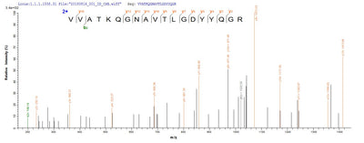 Based on the SEQUEST from database of E.coli host and target protein, the LC-MS/MS Analysis result of this product could indicate that this peptide derived from E.coli-expressed Homo sapiens (Human) LSR.Recombinant Human Lipolysis-Stimulated Lipoprotein Receptor (LSR) Protein (His)