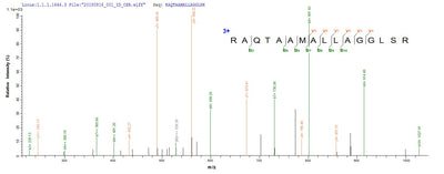 Based on the SEQUEST from database of E.coli host and target protein, the LC-MS/MS Analysis result of this product could indicate that this peptide derived from E.coli-expressed Homo sapiens (Human) LSR.Recombinant Human Lipolysis-Stimulated Lipoprotein Receptor (LSR) Protein (His)