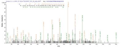 Based on the SEQUEST from database of E.coli host and target protein, the LC-MS/MS Analysis result of this product could indicate that this peptide derived from E.coli-expressed Homo sapiens (Human) NRROS.Recombinant Human Transforming Growth Factor Beta Activator Lrrc33 (NRROS) Protein (His&Myc)