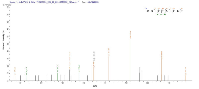 Based on the SEQUEST from database of E.coli host and target protein, the LC-MS/MS Analysis result of this product could indicate that this peptide derived from E.coli-expressed Homo sapiens (Human) CHD1L.Recombinant Human Chromodomain-Helicase-Dna-Binding Protein 1-Like (CHD1L) Protein (His-SUMO)