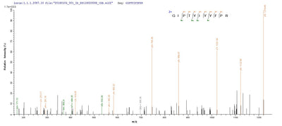 Based on the SEQUEST from database of E.coli host and target protein, the LC-MS/MS Analysis result of this product could indicate that this peptide derived from E.coli-expressed Homo sapiens (Human) CHD1L.Recombinant Human Chromodomain-Helicase-Dna-Binding Protein 1-Like (CHD1L) Protein (His-SUMO)