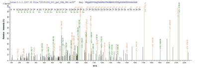 Based on the SEQUEST from database of E.coli host and target protein, the LC-MS/MS Analysis result of this product could indicate that this peptide derived from E.coli-expressed Pseudomonas syringae pv. tomato (strain ATCC BAA-871 / DC3000) hopM1.
