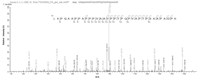 Based on the SEQUEST from database of E.coli host and target protein, the LC-MS/MS Analysis result of this product could indicate that this peptide derived from E.coli-expressed Mus musculus (Mouse) Dlat.Recombinant Mouse Dihydrolipoyllysine-Residue Acetyltransferase Component Of Pyruvate Dehydrogenase Complex, Mitochondrial (DLAT) Protein (His)