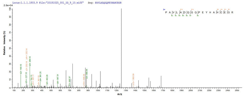 Based on the SEQUEST from database of E.coli host and target protein, the LC-MS/MS Analysis result of this product could indicate that this peptide derived from E.coli-expressed Vesicular stomatitis Indiana virus (strain 98COE North America) (VSIV) M.Recombinant Vesicular Stomatitis Indiana Virus Matrix Protein (M) Protein (His&Myc)
