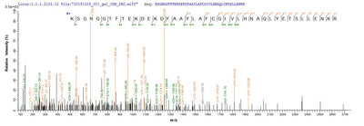 Based on the SEQUEST from database of E.coli host and target protein, the LC-MS/MS Analysis result of this product could indicate that this peptide derived from E.coli-expressed Mus musculus (Mouse) Pde5a.Recombinant Mouse Cgmp-Specific 3,5-Cyclic Phosphodiesterase (PDE5A) Protein (His&Myc)