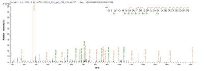 Based on the SEQUEST from database of E.coli host and target protein, the LC-MS/MS Analysis result of this product could indicate that this peptide derived from E.coli-expressed Mus musculus (Mouse) Pde5a.Recombinant Mouse Cgmp-Specific 3,5-Cyclic Phosphodiesterase (PDE5A) Protein (His&Myc)