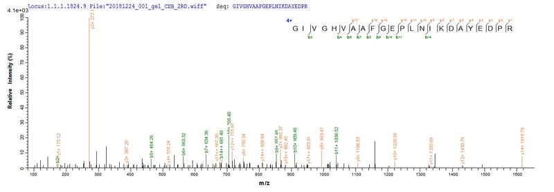 Based on the SEQUEST from database of E.coli host and target protein, the LC-MS/MS Analysis result of this product could indicate that this peptide derived from E.coli-expressed Mus musculus (Mouse) Pde5a.Recombinant Mouse Cgmp-Specific 3,5-Cyclic Phosphodiesterase (PDE5A) Protein (His&Myc)