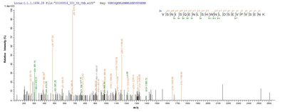 Based on the SEQUEST from database of E.coli host and target protein, the LC-MS/MS Analysis result of this product could indicate that this peptide derived from E.coli-expressed Homo sapiens (Human) FAM217A.