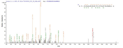 Based on the SEQUEST from database of E.coli host and target protein, the LC-MS/MS Analysis result of this product could indicate that this peptide derived from E.coli-expressed Homo sapiens (Human) FAM217A.