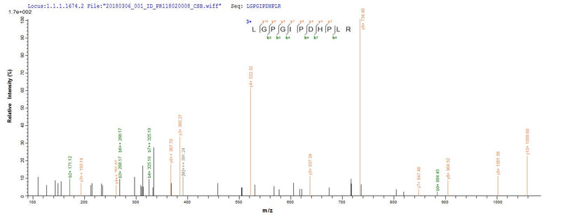 Based on the SEQUEST from database of E.coli host and target protein, the LC-MS/MS Analysis result of this product could indicate that this peptide derived from E.coli-expressed Reston ebolavirus (strain Reston-89) (REBOV) (Reston Ebola virus) VP40.Recombinant Reston Ebolavirus Matrix Protein Vp40 (VP40) Protein (His-SUMO)