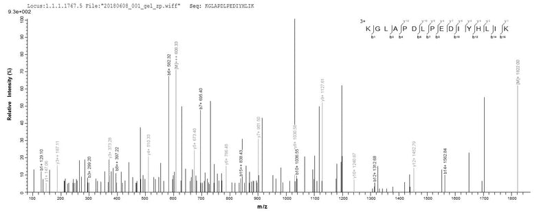 Based on the SEQUEST from database of E.coli host and target protein, the LC-MS/MS Analysis result of this product could indicate that this peptide derived from E.coli-expressed Ciona intestinalis (Transparent sea squirt) (Ascidia intestinalis) RPS13.