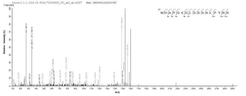Based on the SEQUEST from database of E.coli host and target protein, the LC-MS/MS Analysis result of this product could indicate that this peptide derived from E.coli-expressed Ciona intestinalis (Transparent sea squirt) (Ascidia intestinalis) RPS13.