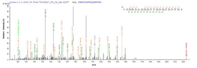 Based on the SEQUEST from database of E.coli host and target protein, the LC-MS/MS Analysis result of this product could indicate that this peptide derived from E.coli-expressed Neosartorya fumigata (strain ATCC MYA-4609 / Af293 / CBS 101355 / FGSC A1100) (Aspergillus fumigatus) crf1.Recombinant Neosartorya Fumigata Probable Glycosidase Crf1 (CRF1) Protein (His&Myc)