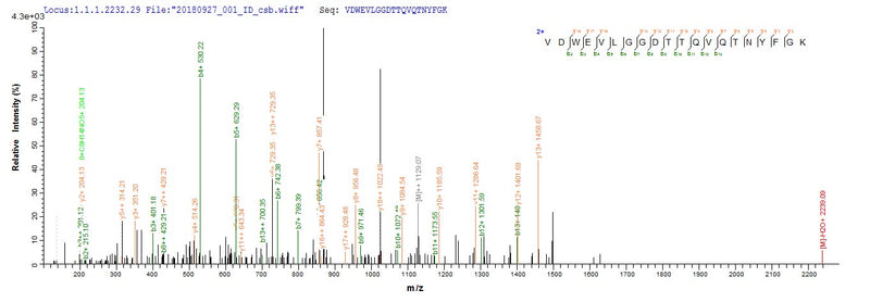 Based on the SEQUEST from database of E.coli host and target protein, the LC-MS/MS Analysis result of this product could indicate that this peptide derived from E.coli-expressed Neosartorya fumigata (strain ATCC MYA-4609 / Af293 / CBS 101355 / FGSC A1100) (Aspergillus fumigatus) crf1.Recombinant Neosartorya Fumigata Probable Glycosidase Crf1 (CRF1) Protein (His&Myc)
