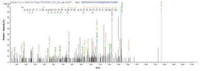 Based on the SEQUEST from database of E.coli host and target protein, the LC-MS/MS Analysis result of this product could indicate that this peptide derived from E.coli-expressed Neosartorya fumigata (strain ATCC MYA-4609 / Af293 / CBS 101355 / FGSC A1100) (Aspergillus fumigatus) crf1.Recombinant Neosartorya Fumigata Probable Glycosidase Crf1 (CRF1) Protein (His&Myc)