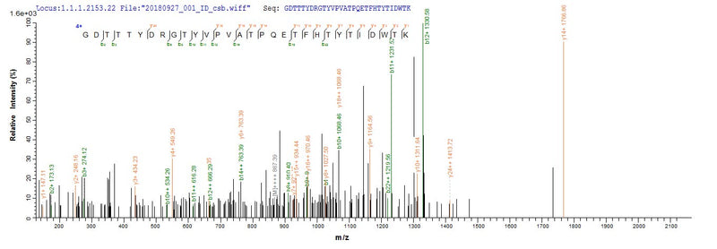 Based on the SEQUEST from database of E.coli host and target protein, the LC-MS/MS Analysis result of this product could indicate that this peptide derived from E.coli-expressed Neosartorya fumigata (strain ATCC MYA-4609 / Af293 / CBS 101355 / FGSC A1100) (Aspergillus fumigatus) crf1.Recombinant Neosartorya Fumigata Probable Glycosidase Crf1 (CRF1) Protein (His&Myc)