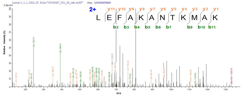 Based on the SEQUEST from database of E.coli host and target protein, the LC-MS/MS Analysis result of this product could indicate that this peptide derived from E.coli-expressed Homo sapiens (Human) RBPMS.Recombinant Human Rna-Binding Protein With Multiple Splicing (RBPMS) Protein (His&Myc)