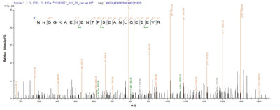 Based on the SEQUEST from database of E.coli host and target protein, the LC-MS/MS Analysis result of this product could indicate that this peptide derived from E.coli-expressed Homo sapiens (Human) RBPMS.Recombinant Human Rna-Binding Protein With Multiple Splicing (RBPMS) Protein (His&Myc)