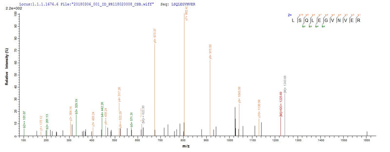 Based on the SEQUEST from database of E.coli host and target protein, the LC-MS/MS Analysis result of this product could indicate that this peptide derived from E.coli-expressed Homo sapiens (Human) VPS35.Recombinant Human Vacuolar Protein Sorting-Associated Protein 35 (VPS35) Protein (His&Myc)