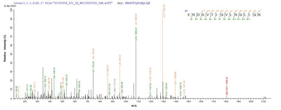 Based on the SEQUEST from database of E.coli host and target protein, the LC-MS/MS Analysis result of this product could indicate that this peptide derived from E.coli-expressed Homo sapiens (Human) VPS35.Recombinant Human Vacuolar Protein Sorting-Associated Protein 35 (VPS35) Protein (His&Myc)