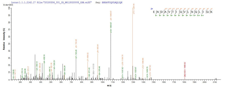 Based on the SEQUEST from database of E.coli host and target protein, the LC-MS/MS Analysis result of this product could indicate that this peptide derived from E.coli-expressed Homo sapiens (Human) VPS35.Recombinant Human Vacuolar Protein Sorting-Associated Protein 35 (VPS35) Protein (His&Myc)